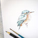 Cartes d'oiseaux sauvages peintes à la main, martin-pêcheur par Nina Polli, fabriquées dans le sud de la France